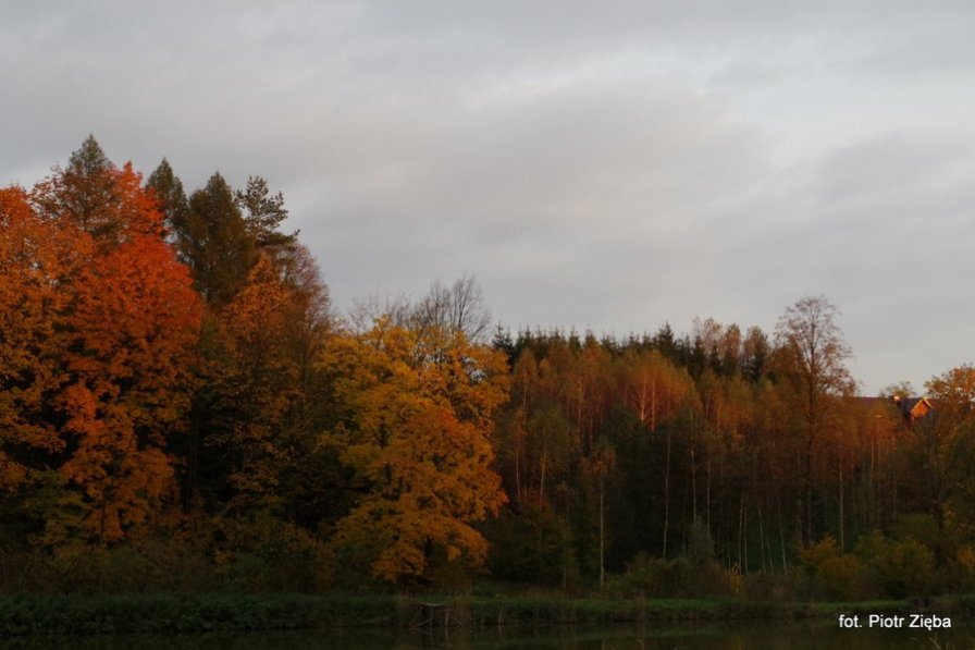 Jesień w gminie Ryglice