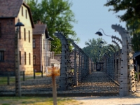 Renowacja pomnika więźniów KL Auschwitz