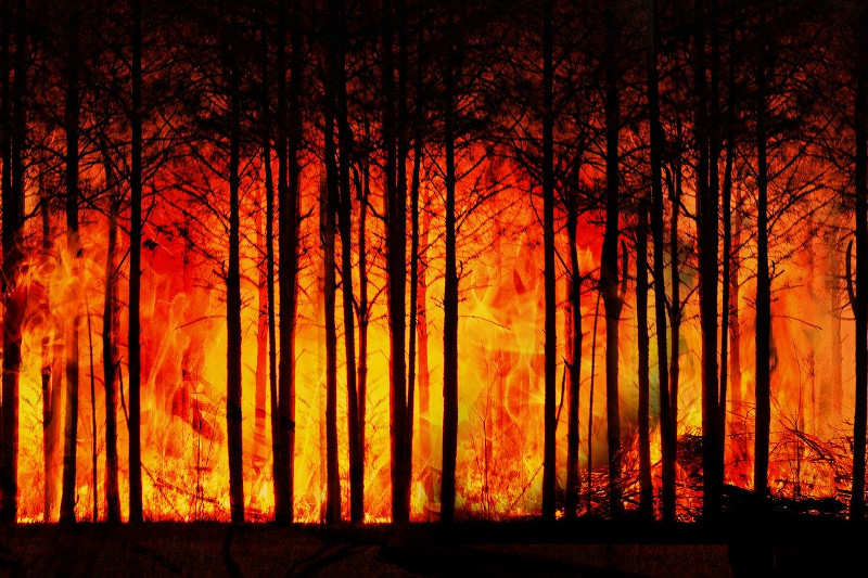 „Młodzież zapobiega pożarom” - eliminacje gminy Jodłowa