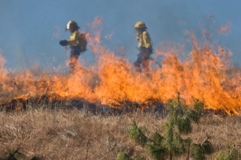 Pożary traw, inne akcje strażackie
