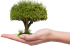 Rozpoczęcie kampanii sadzenia drzew w Małopolsce w ramach działań dla klimatu