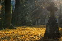 Znicze na lwowskim cmentarzu