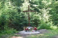 Poświęcenie krzyża i tablicy na Cmentarzu Cholerycznym